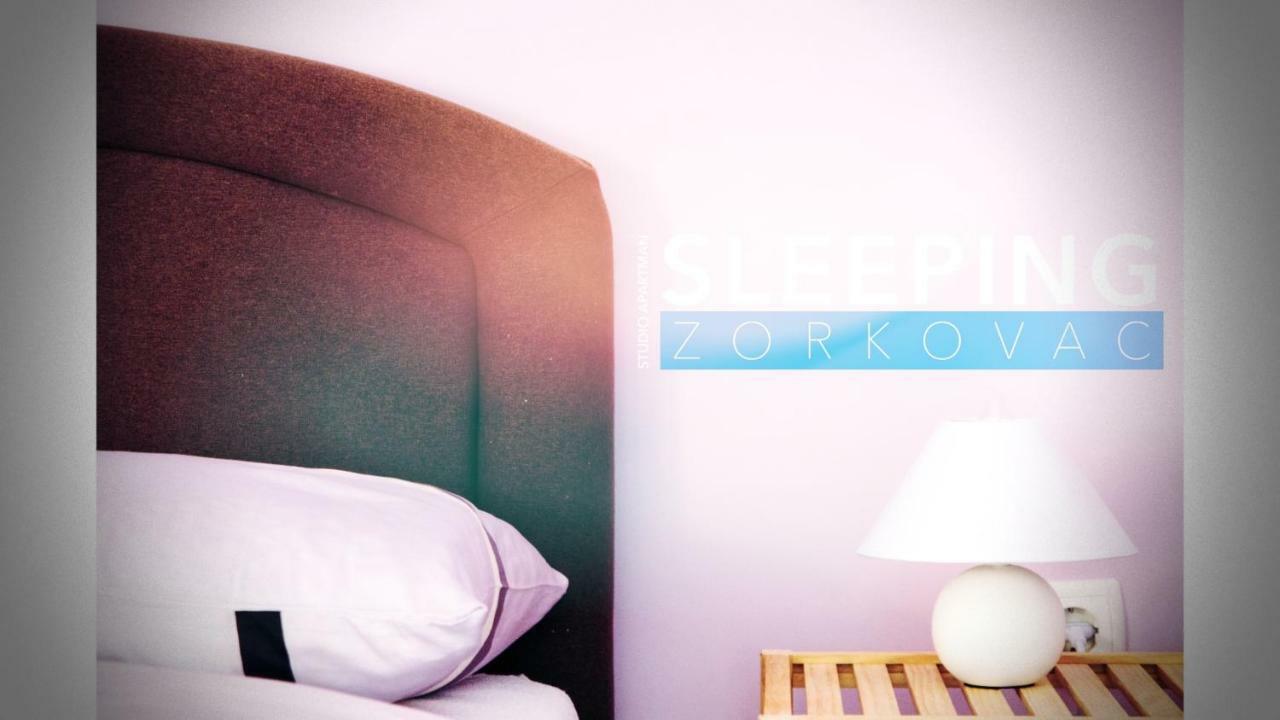 Studio Apartman Zorkovac Ozalj Екстериор снимка